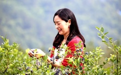 md2.pud 麻豆传媒官网